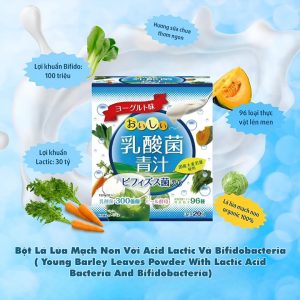 Bột Lá Lúa Mạch Non với Acid Lactic và Bifidobacteria