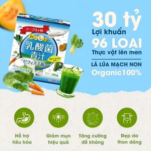 Bột Lá Lúa Mạch Non với Acid Lactic và Bifidobacteria