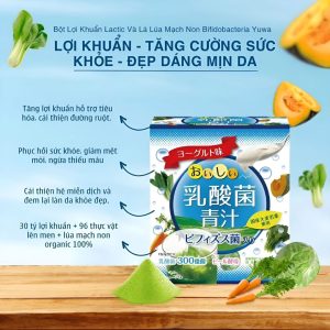 Bột Lá Lúa Mạch Non với Acid Lactic và Bifidobacteria