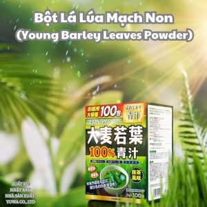 Bột mầm lúa non hữu cơ nguyên chất YUWA Nhật Bản