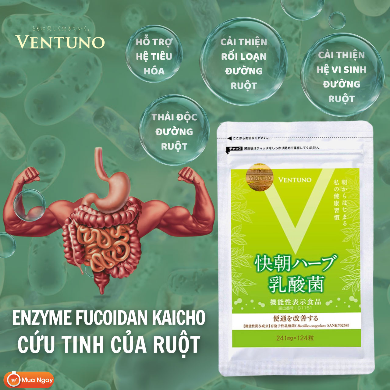 Ventuno Kaicho Herb Lactic Acid Bacteria