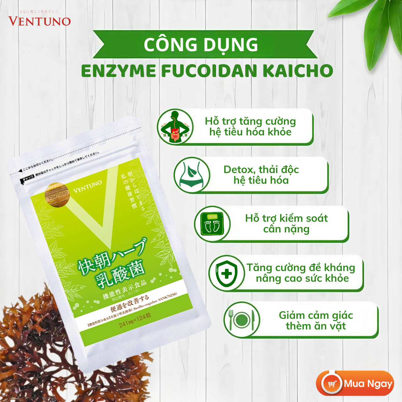 Ventuno Kaicho Herb Lactic Acid Bacteria 