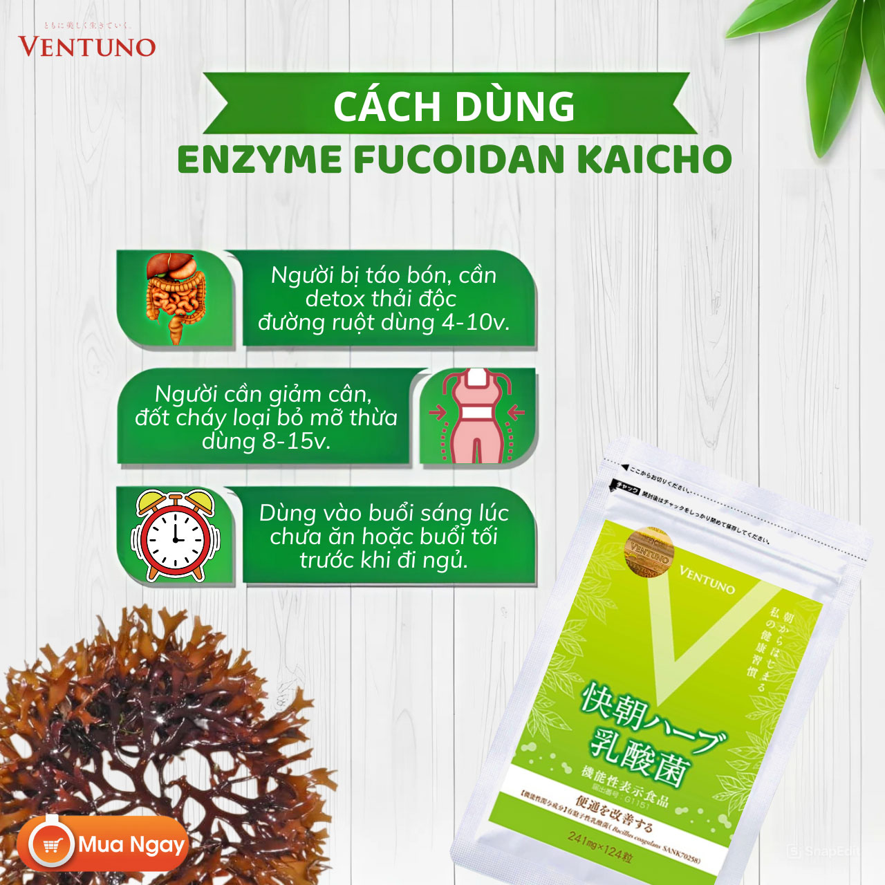 Ventuno Kaicho Herb Lactic Acid Bacteria 