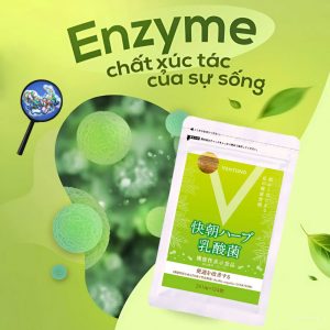 Ventuno Kaicho Herb Lactic Acid Bacteria