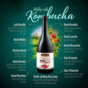Nước uống Kombucha lên men tự nhiên