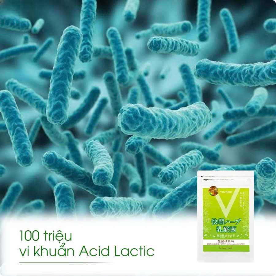 Ventuno Kaicho Herb Lactic Acid Bacteria