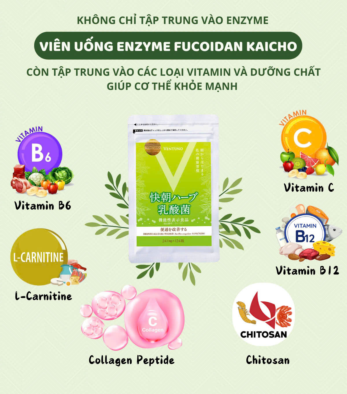Ventuno Kaicho Herb Lactic Acid Bacteria